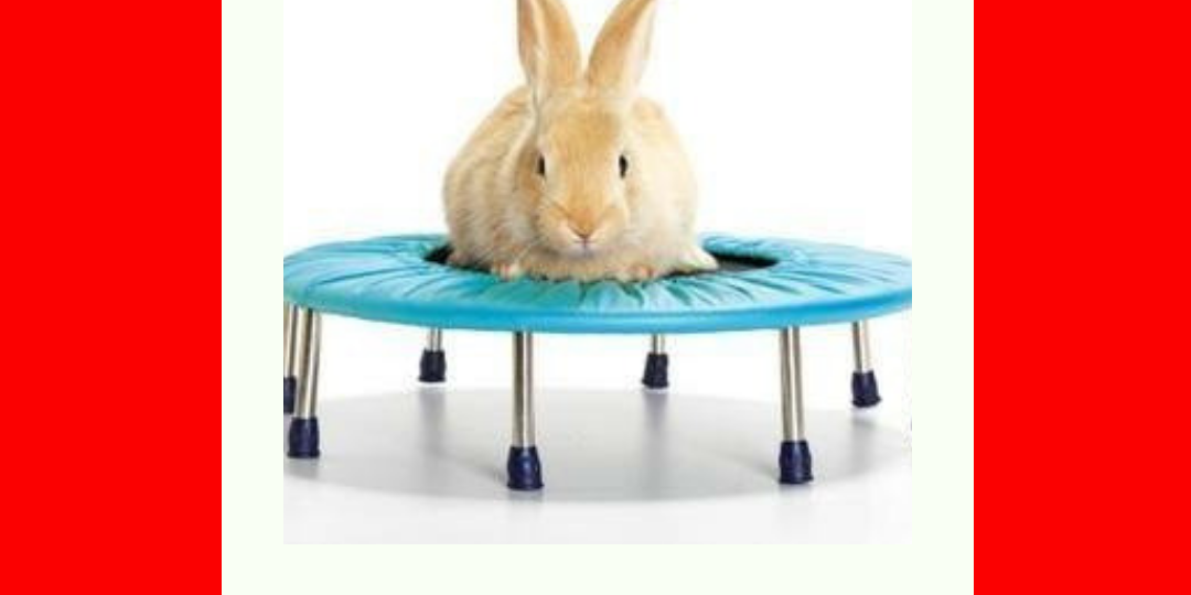 Easter Camp (2)